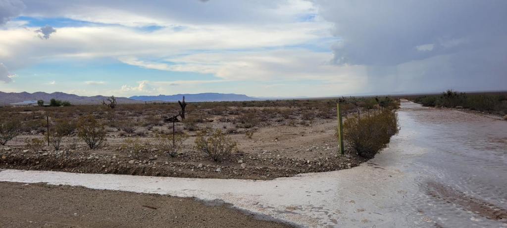 The Vice President & Road Maintenance&nbsp;Supervisor